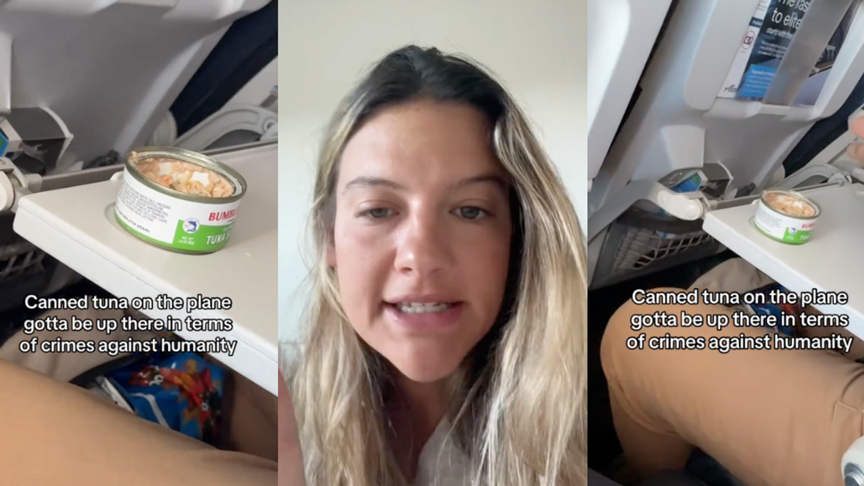 TikTok screenshots of @allyjaksen and tuna on plane