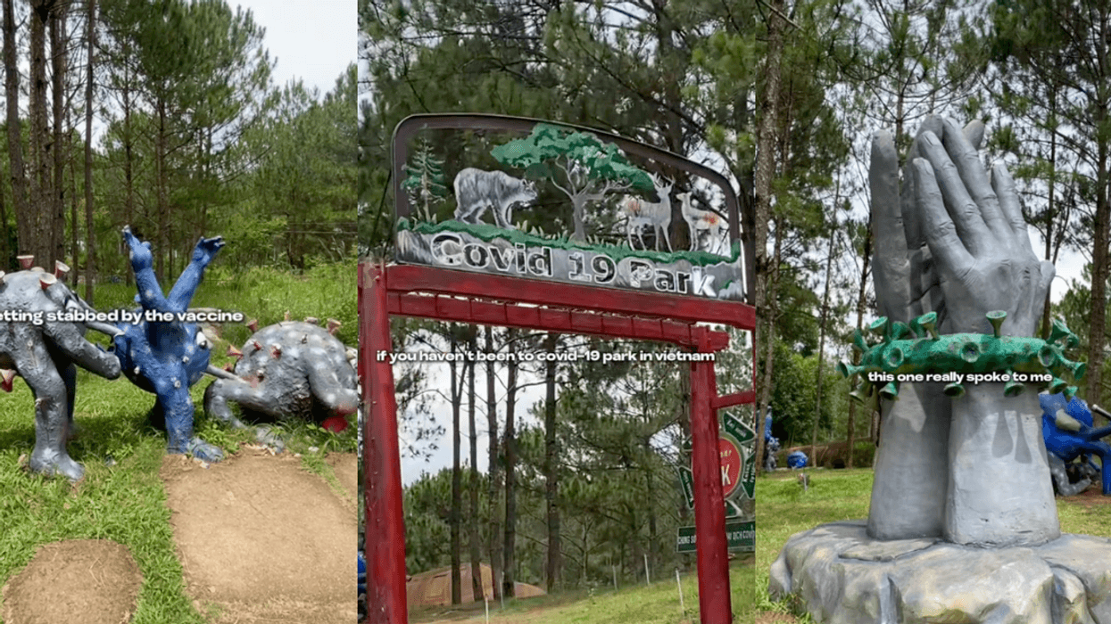 TikTok screenshots of 'COVID-19 Park'