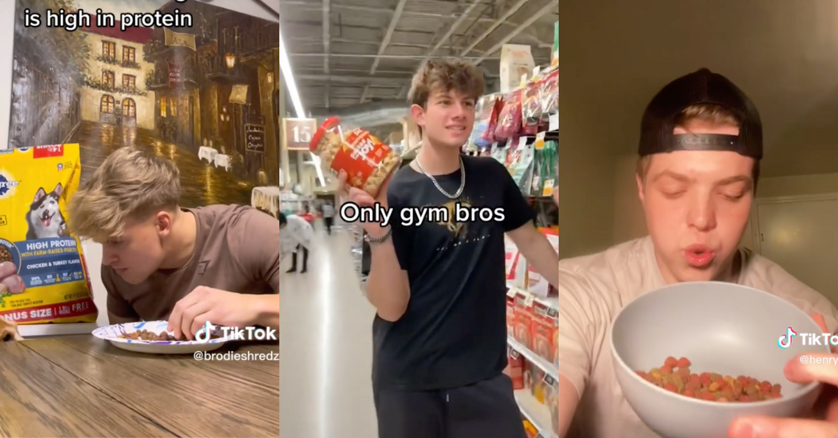 TikTok screenshots of dog food challenge