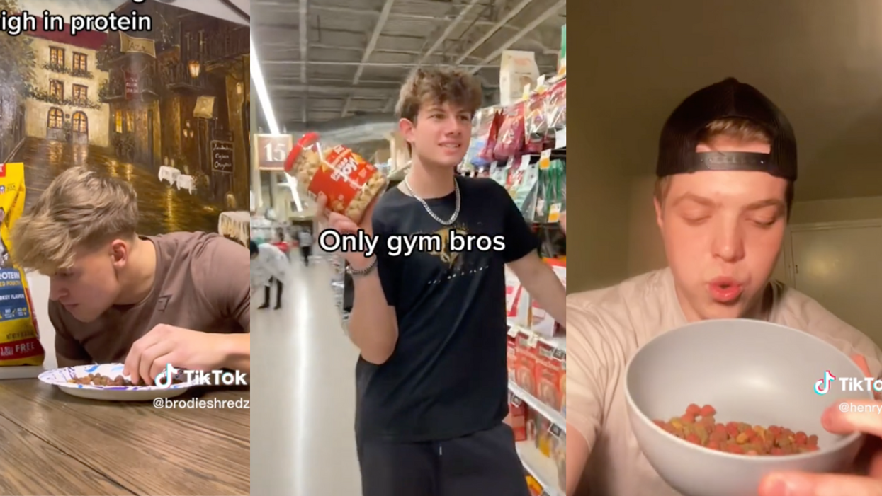 TikTok screenshots of dog food challenge