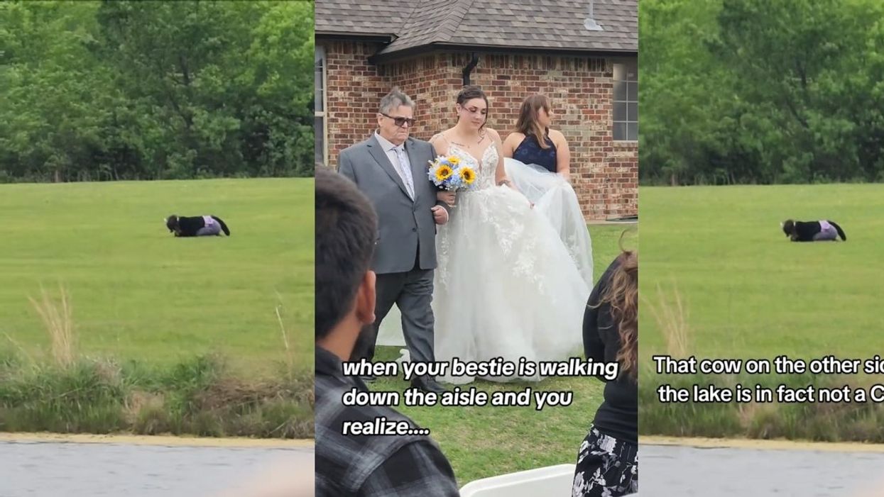 TikTok screenshots of furry in field and bride being walked down the aisle