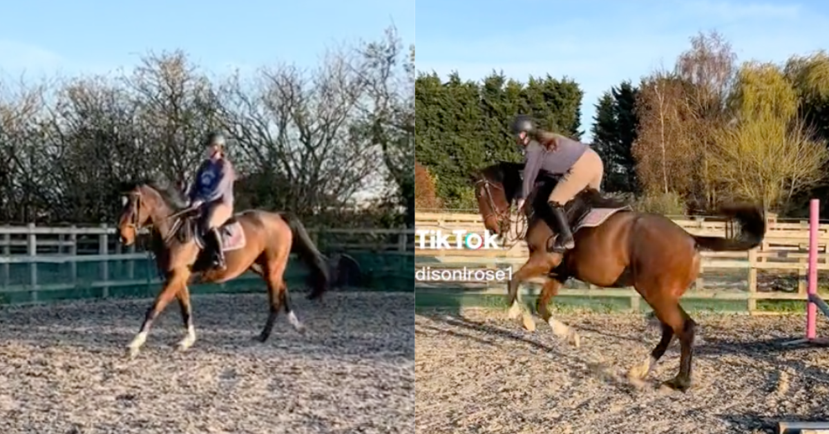 TikTok screenshots of ​@madisonrose1 riding a horse