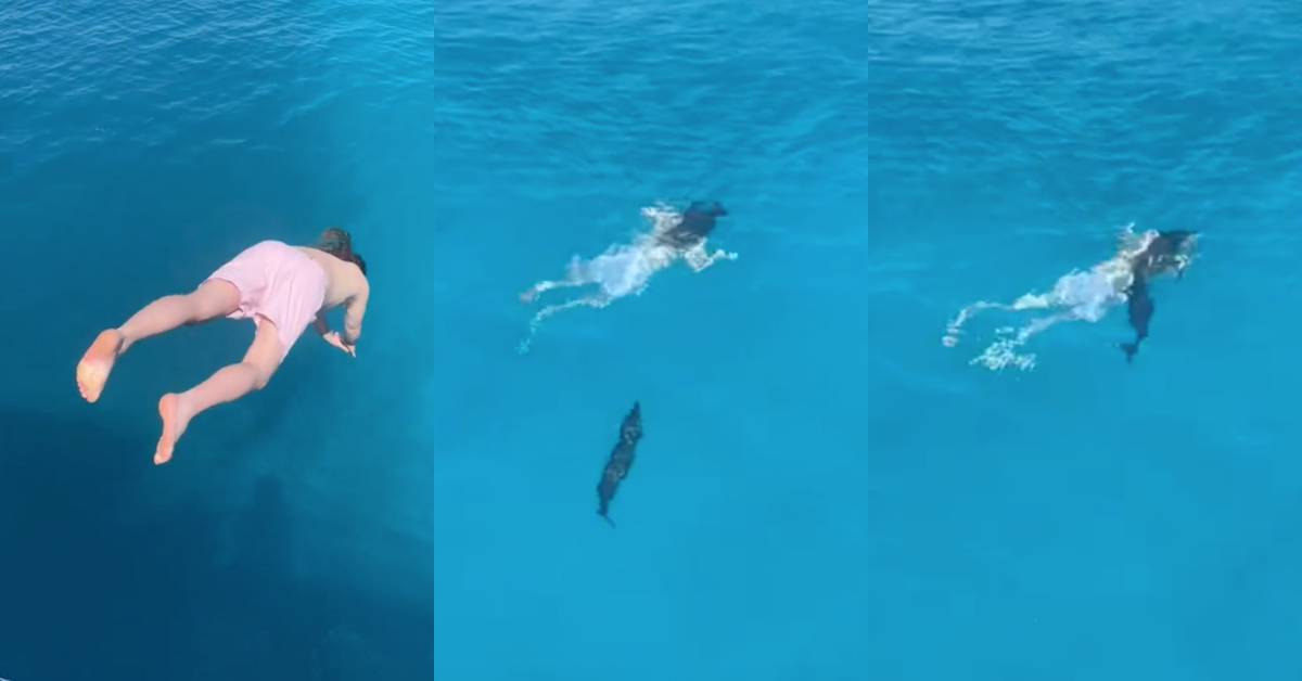 TikTok screenshots of man and barracuda in water