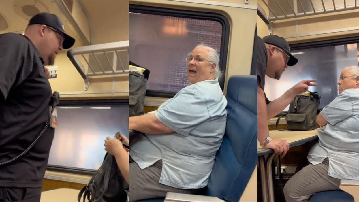 TikTok screenshots of passenger and conductor