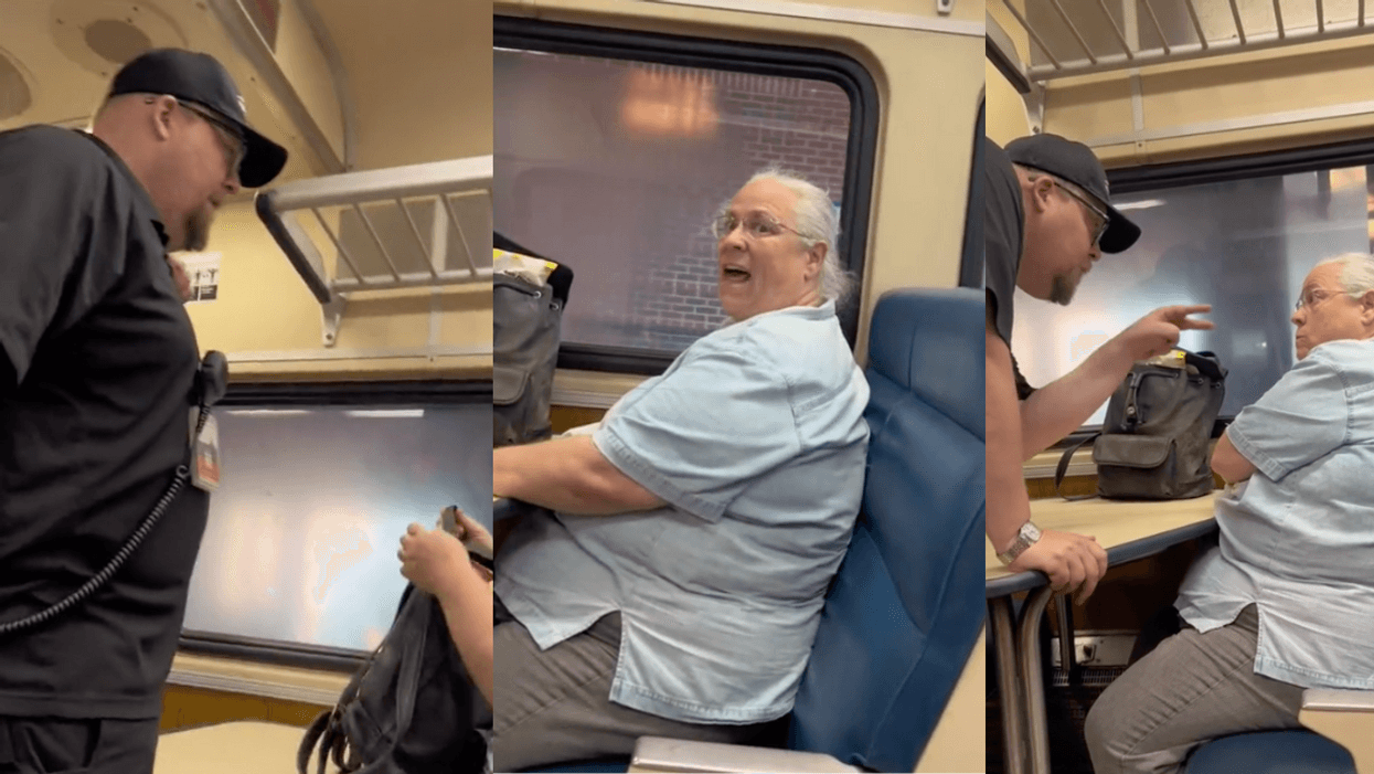 TikTok screenshots of passenger and conductor