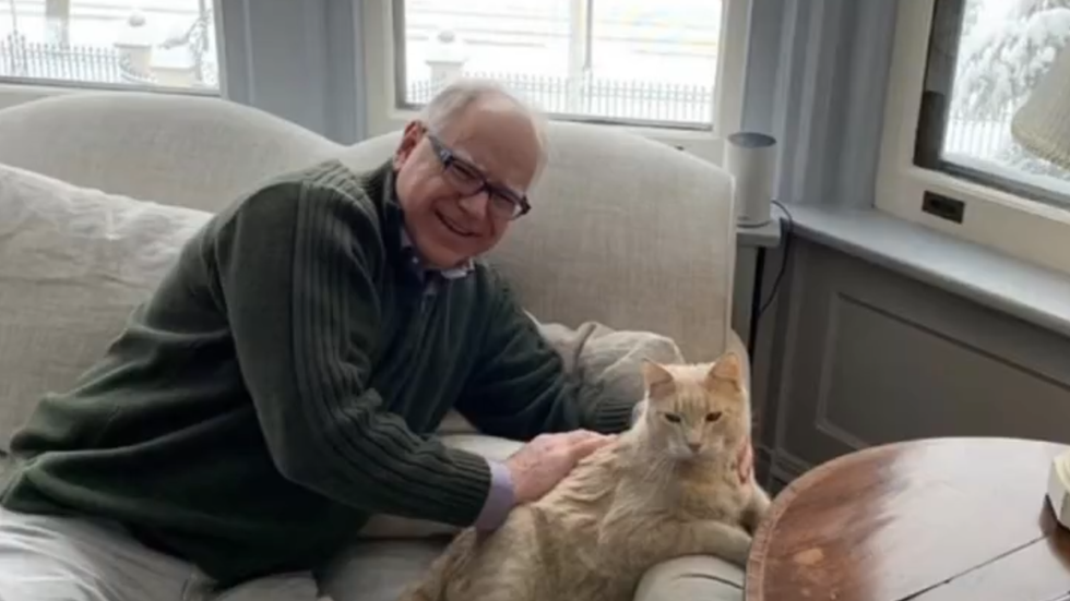 Tim Walz with his cat, Afton