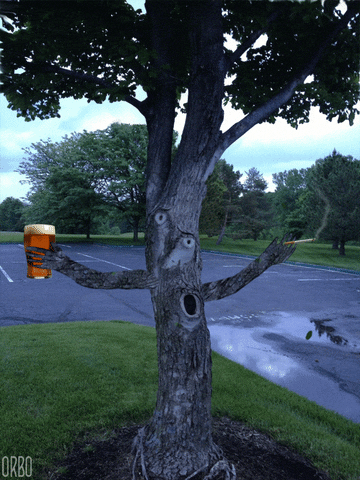 tree GIF
