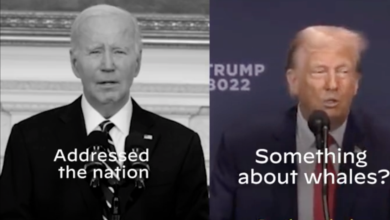 Twitter screenshot of Joe Biden and Donald Trump side-by-side