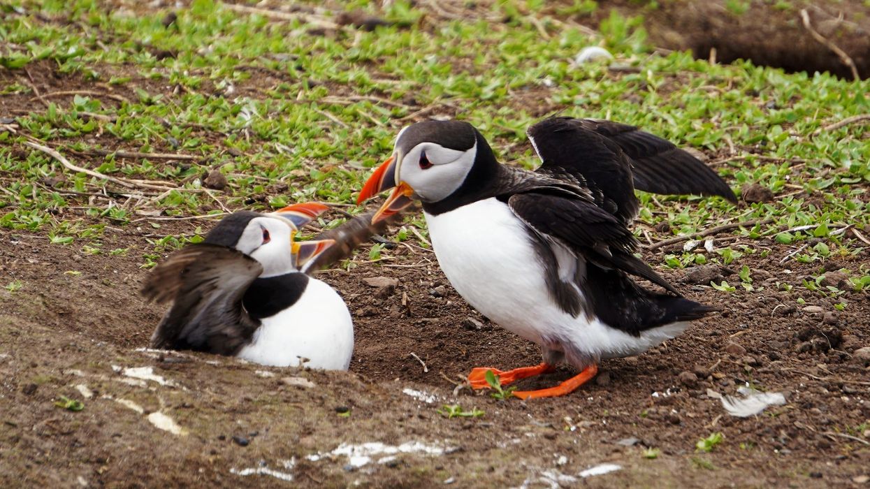 People Divulge Which Things Instantly Ruin A Conversation For Them