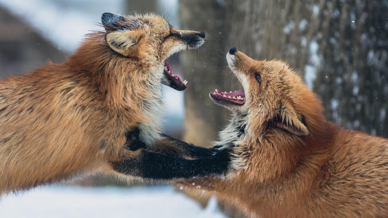 People Share The Stupidest Arguments Others STILL Continue To Use
