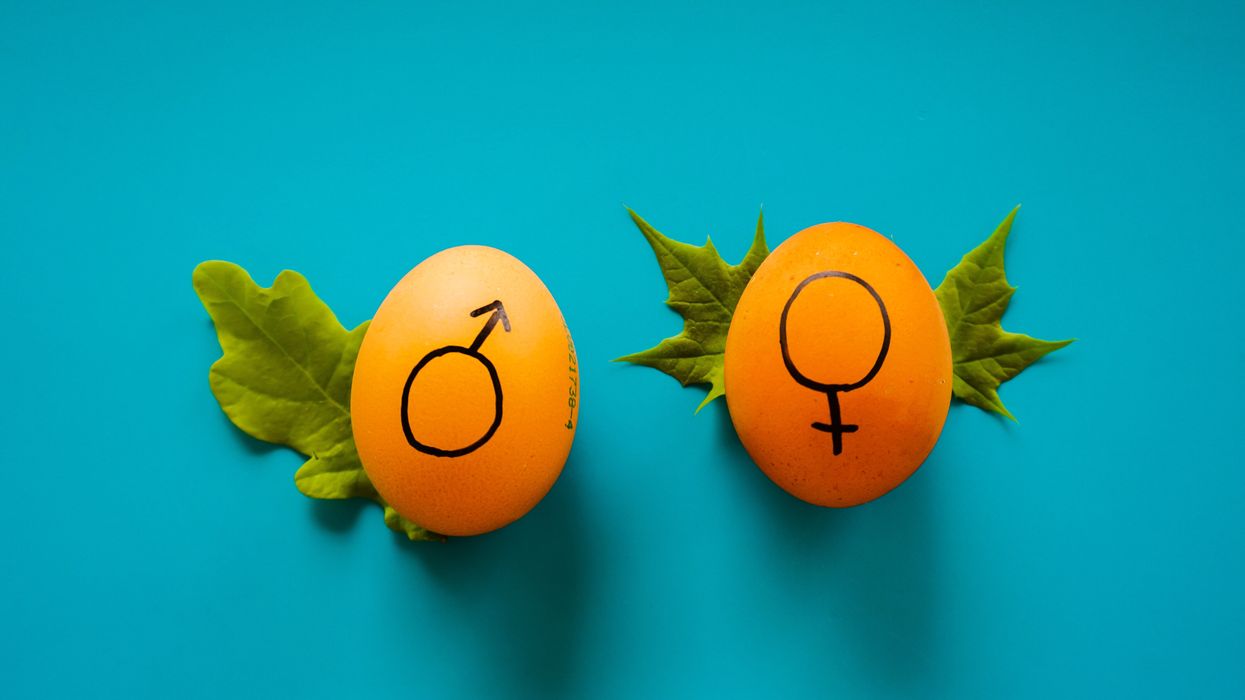 Two orange eggs with the male and female symbols on them