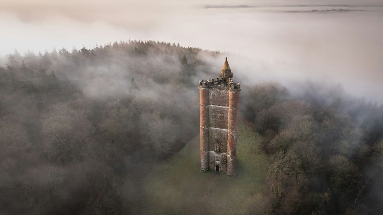 UK folly tower in the middle of the forest
