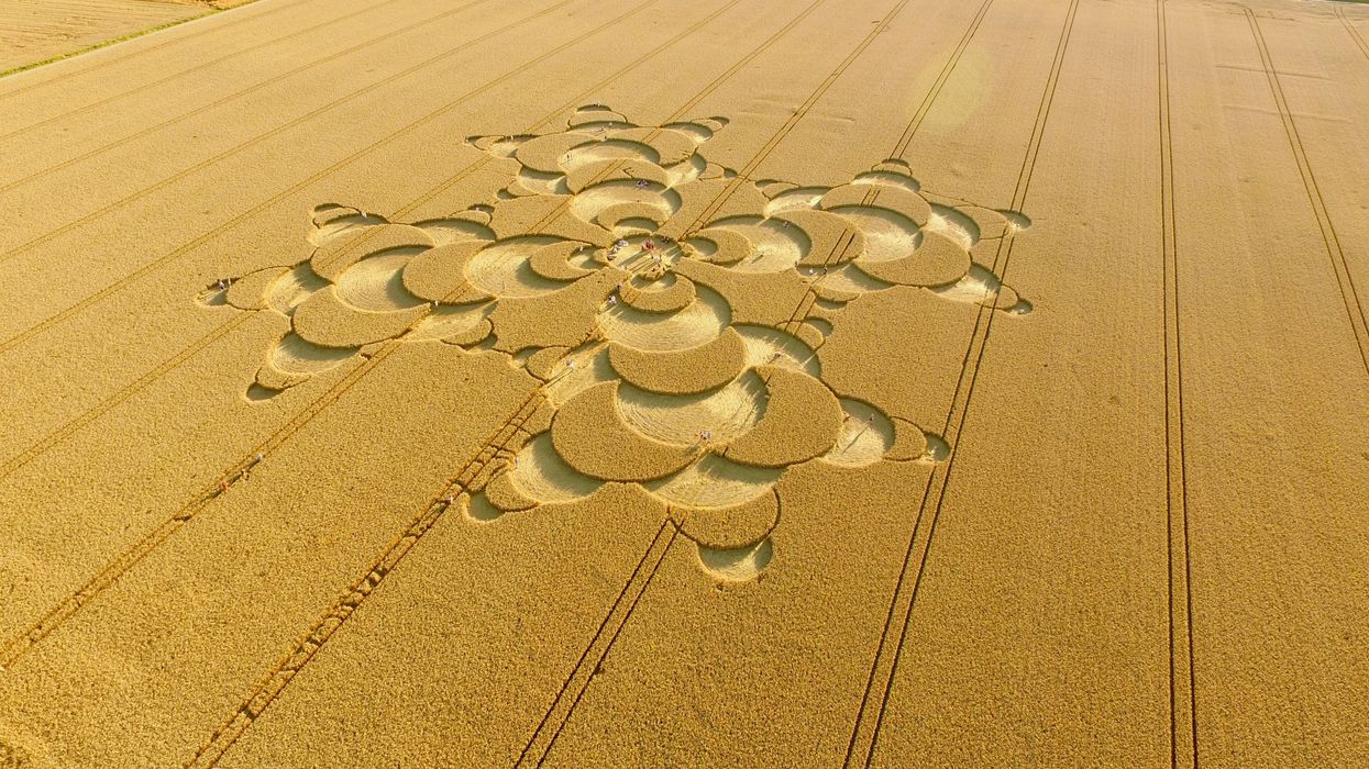 white and gray round plastic decor