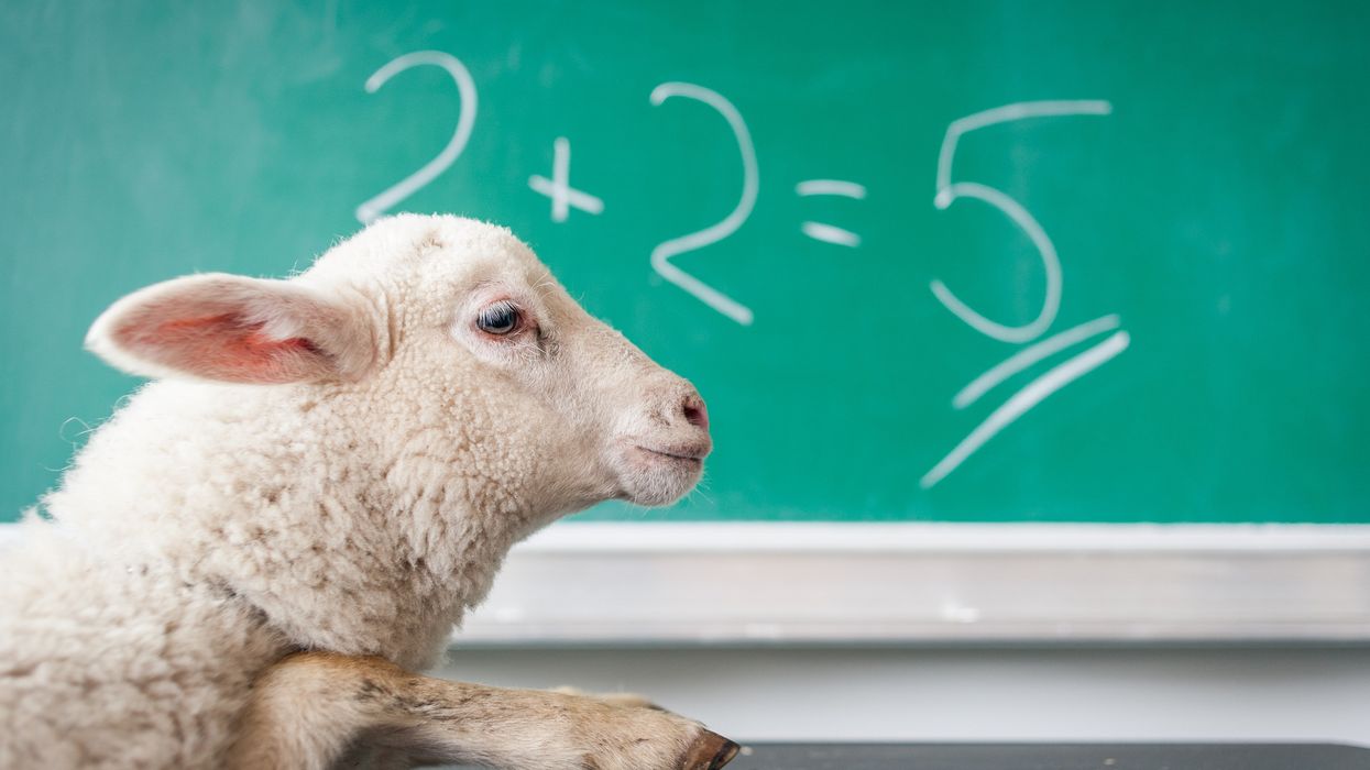 People Who've Pretended To Be Dumber Than They Really Are Explain Why They Did It