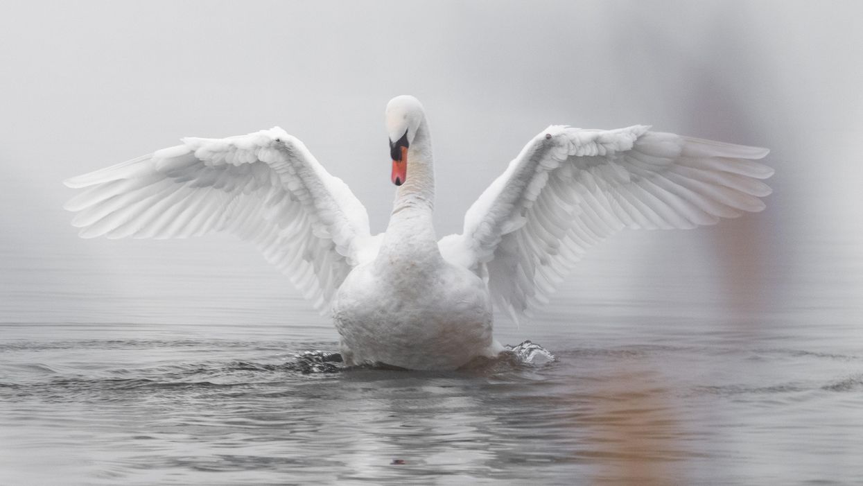 People Describe The Craziest Thing That's Ever Happened To Them