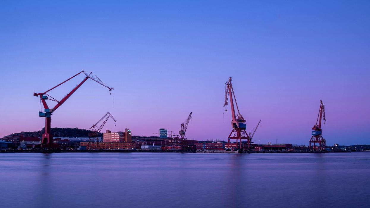 Wide shot of cranes on the water.