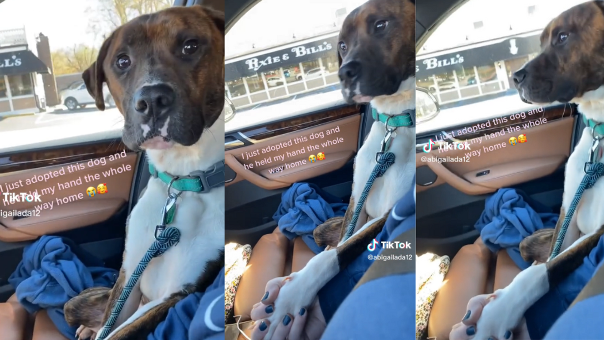Woman holding hands with the dog she just adopted