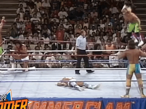 wrestling GIF