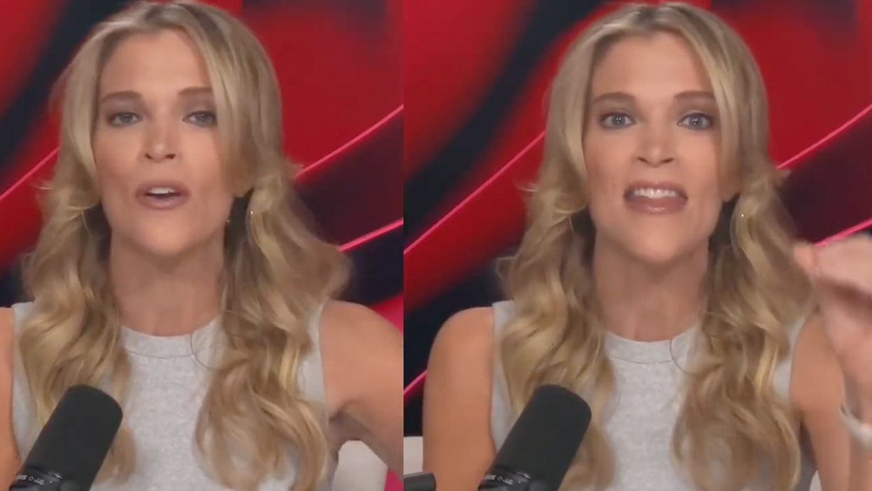 X screenshots of Megyn Kelly